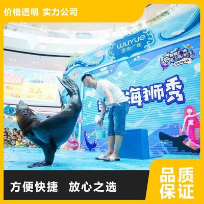 南安市分公司 專業(yè)出租表演鸚鵡，打造難忘動(dòng)物展覽體驗(yàn)