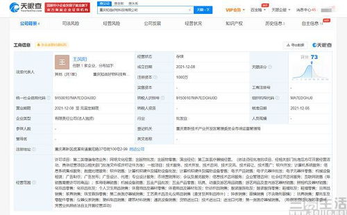 電商新戰(zhàn)局 行業(yè)第四極爭奪戰(zhàn)中的文娛跨界突圍